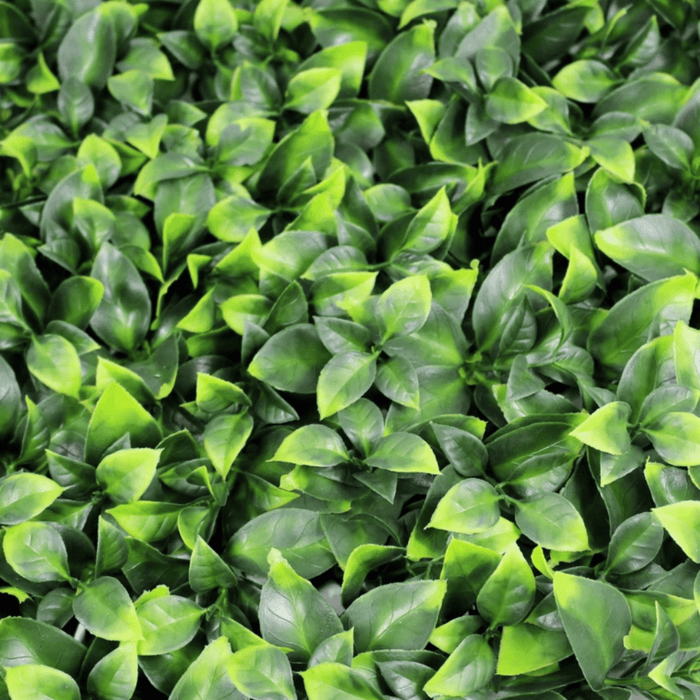Jasmine Artificial Green Wall 40" x 40"