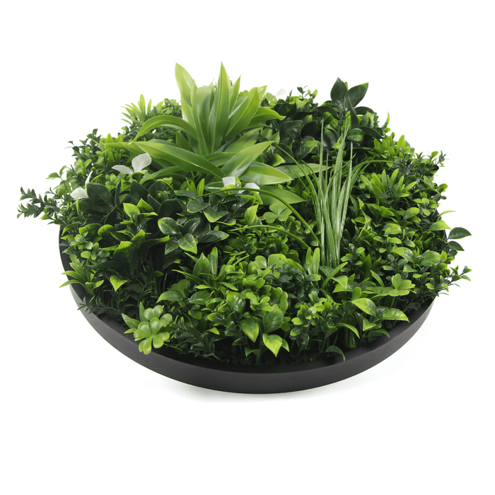 Artificial Green Wall Disc 20" Black Frame