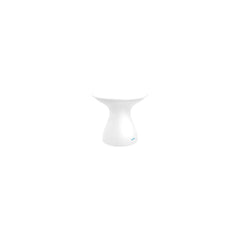 White Lid / White Base