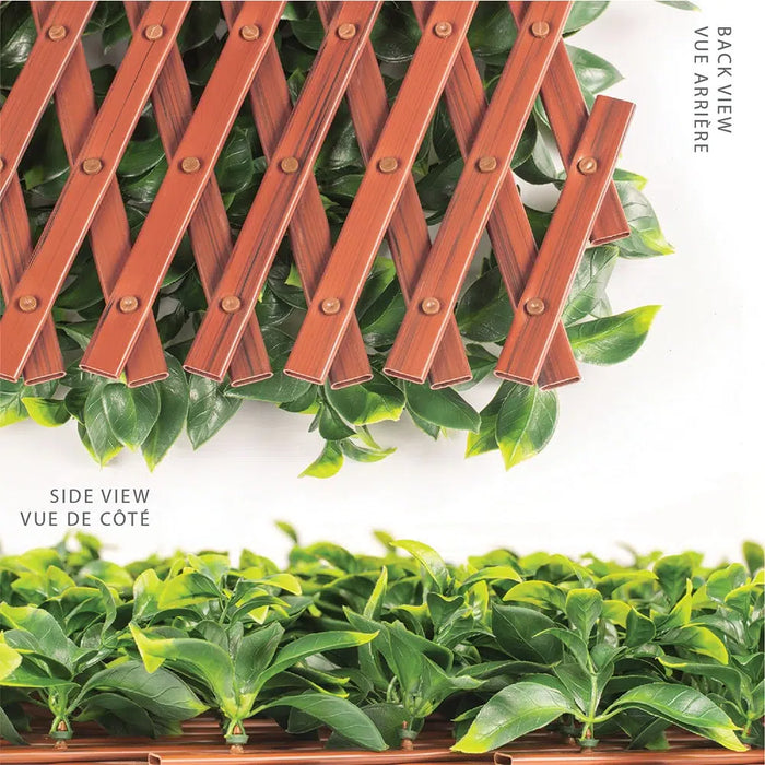 Designer Plants Expandable Faux Jasmine Trellis Privacy Fence (Variable Size) UV Resistant 72" x 36"