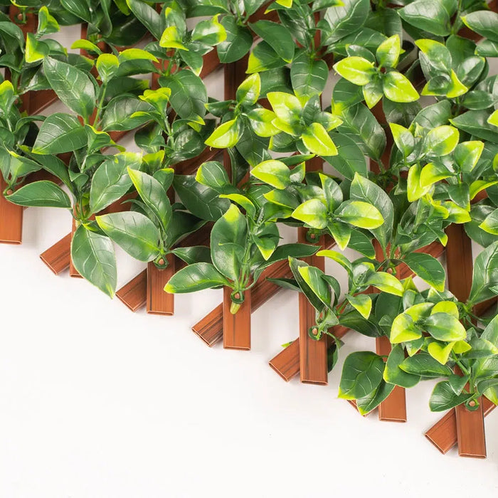 Designer Plants Expandable Faux Jasmine Trellis Privacy Fence (Variable Size) UV Resistant 72" x 36"