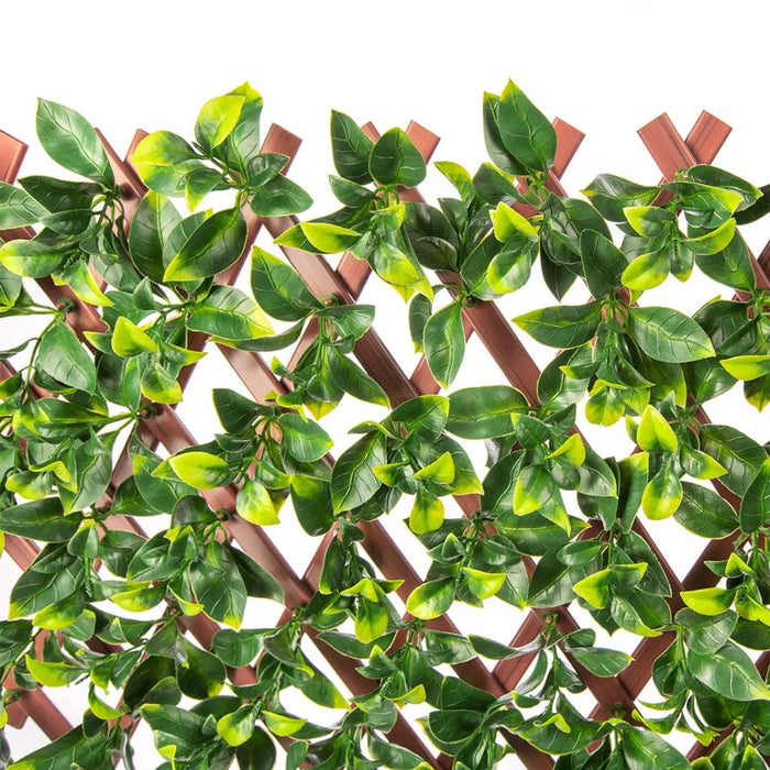 Designer Plants Expandable Faux Jasmine Trellis Privacy Fence (Variable Size) UV Resistant 72" x 36"