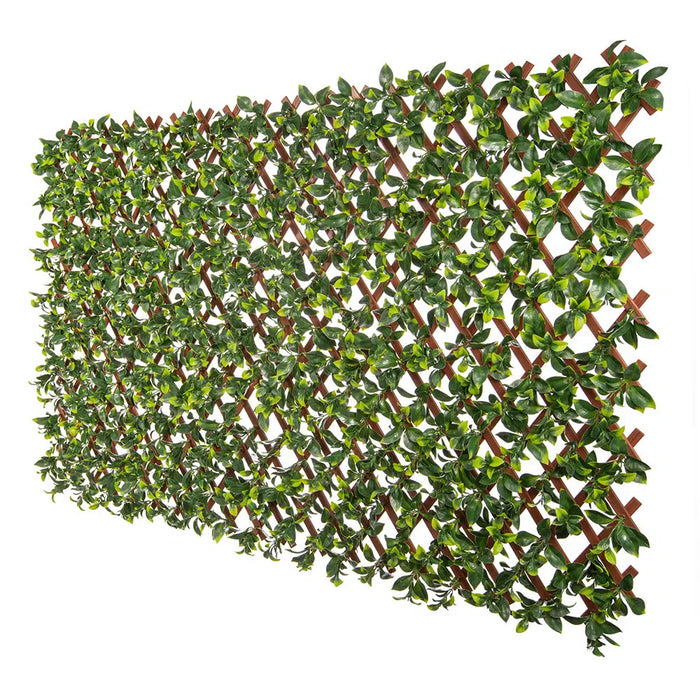 Designer Plants Expandable Faux Jasmine Trellis Privacy Fence (Variable Size) UV Resistant 72" x 36"
