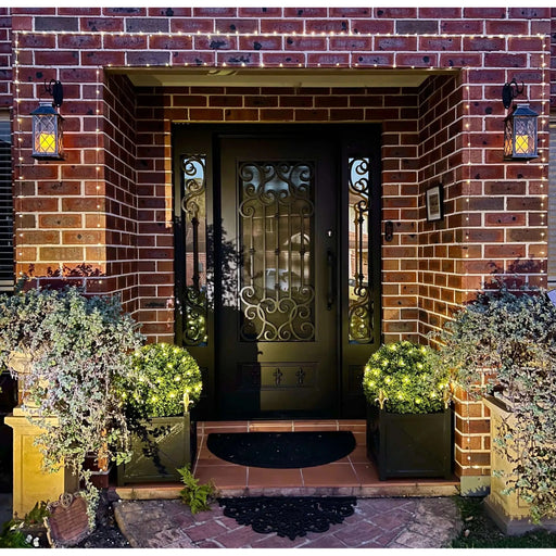 Artificial Topiary Ball on Black Planters By the Front Door