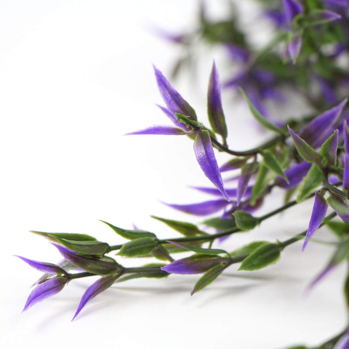 Designer Plants Artificial Purple Two-tone Narrow Leaf Artificial Hanging Ruscus Plant 31" UV Resistant