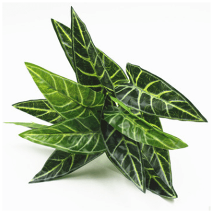 Designer Plants Artificial Zebra Plant Bush 11"