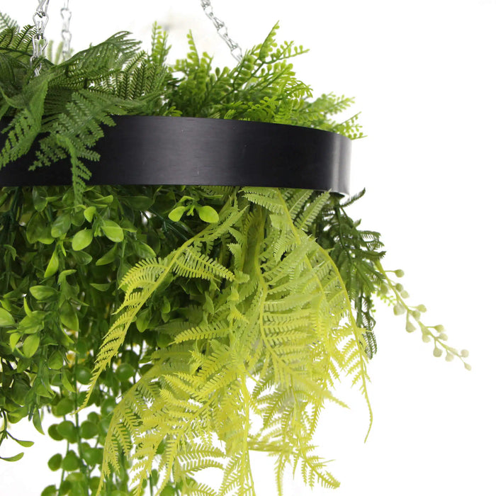 Designer Plants Black Framed Roof Hanging Disc With Draping Faux Plants 15.5"