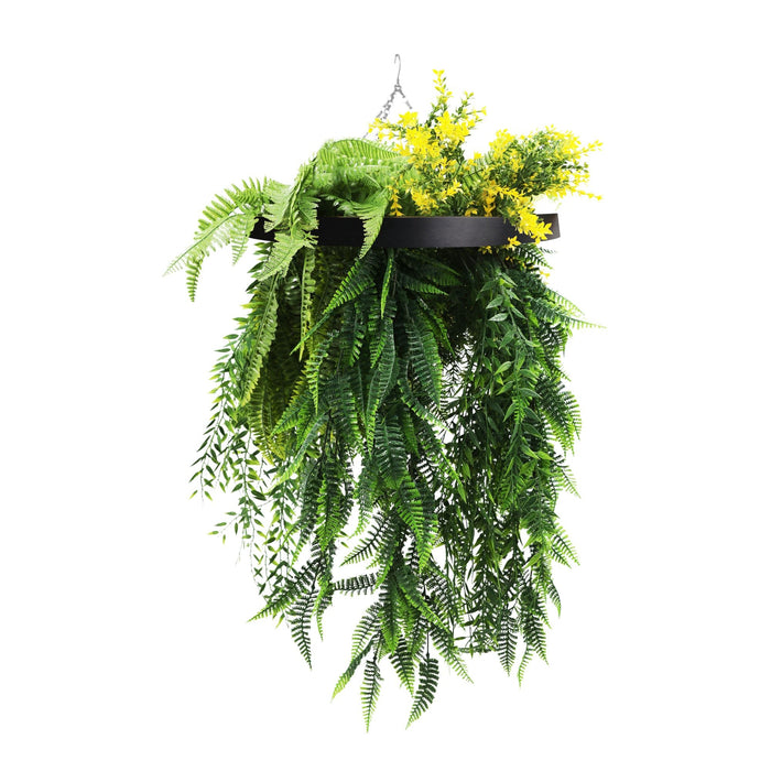 Designer Plants Black Framed Hanging Disc with Bright Tropical Foliage and Draping Ferns  15.75-inch UV Resistant