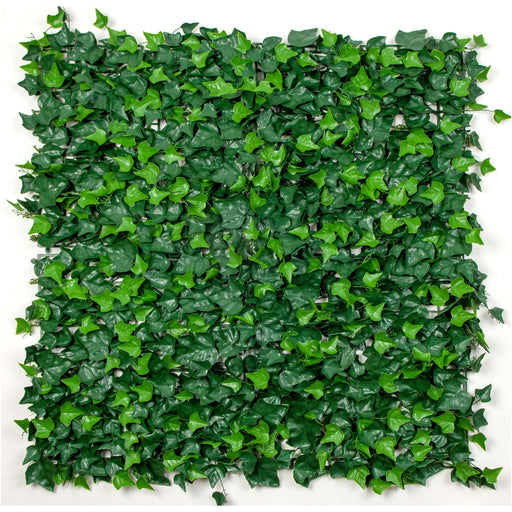 Boston Ivy Green Wall UV Protected - Designer Plants USA