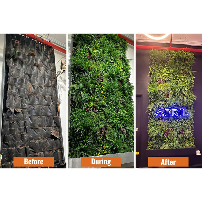 Living Wall Replacement with Artificial Plants