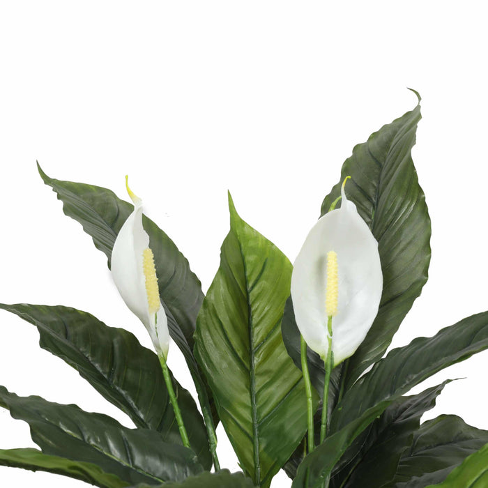 Designer Plants Elegant Artificial Peace Lily (Spathiphyllum) - 24-Inch Indoor Plant (Clearance)