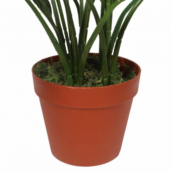 Designer Plants Elegant Artificial Peace Lily (Spathiphyllum) - 24-Inch Indoor Plant (Clearance)