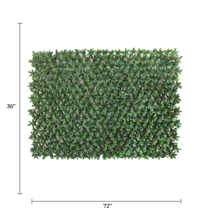 Designer Plants Expandable Faux English Laurel Trellis Privacy Fence (Variable Size) UV Resistant - 72" x 36"