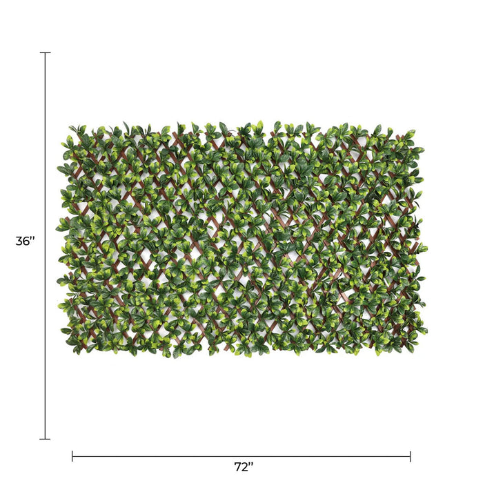 Designer Plants Expandable Faux Green Ligustrum Ficus Trellis Privacy Fence (Variable Size) UV Resistant 72" x 36"