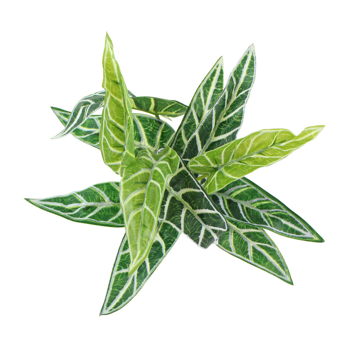 Designer Plants Artificial Zebra Plant Bush 11"