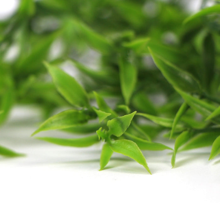 Designer Plants Artificial Two-tone Narrow Leaf Artificial Hanging Ruscus Plant 31" UV Resistant