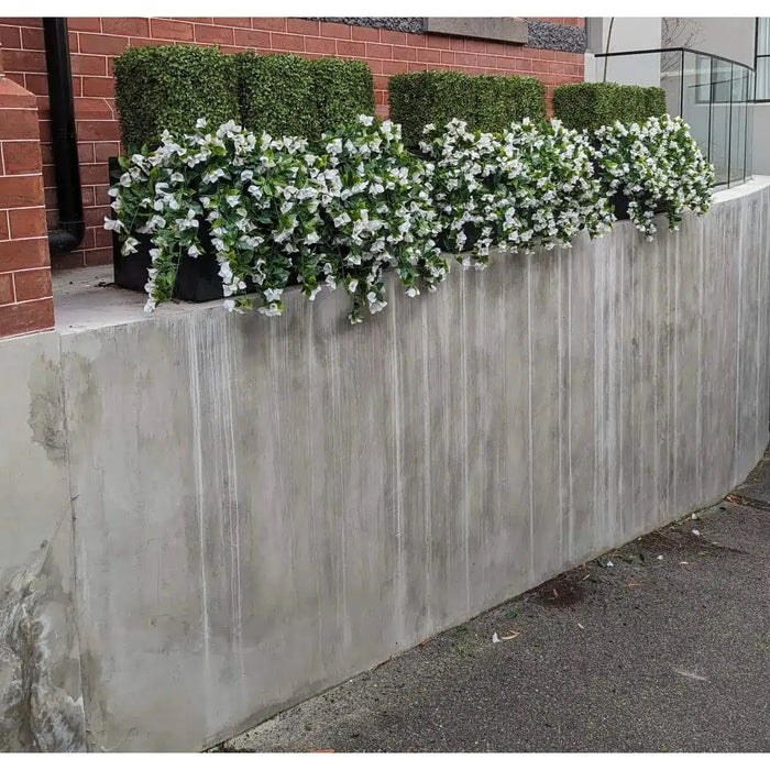 A concrete wall adorned with (5 Pieces) Hanging White Artificial Bougainvillea Plant UV Resistant 35" in flower pots.