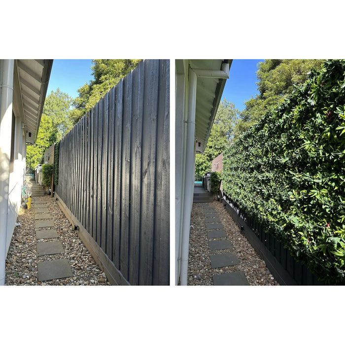 Plant wall panel installed along a fence before and after outside view on timber fence