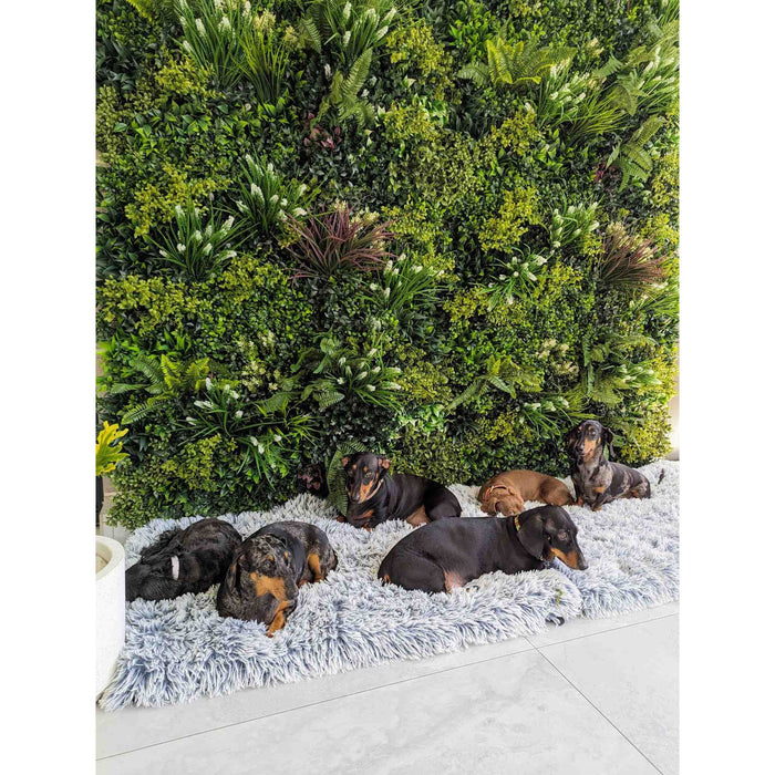 Premium Faux Green Wall Pebbles installed at home next to a carpet and designed for dogs and decoration