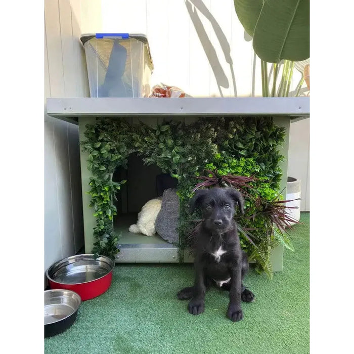 How to decorate a dog kennel with fake plants