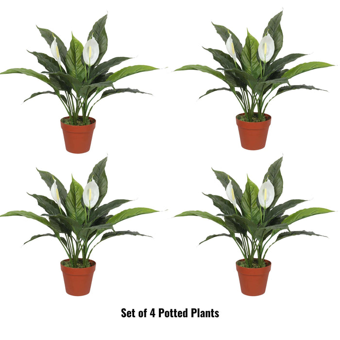 Designer Plants Elegant Artificial Peace Lily (Spathiphyllum) - 24-Inch Indoor Plant (Clearance)