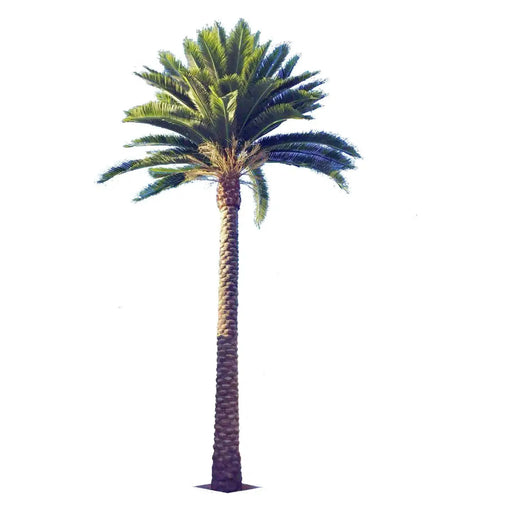 Tall Artificial Palm Tree Florida Palm or Middle Eastern Palm Tree