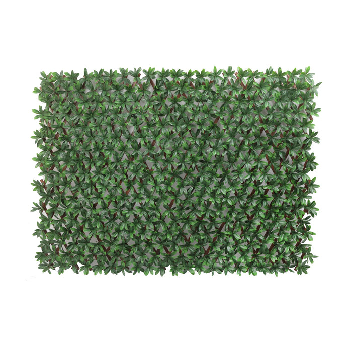 Designer Plants Expandable Faux English Laurel Trellis Privacy Fence (Variable Size) UV Resistant - 72" x 36"