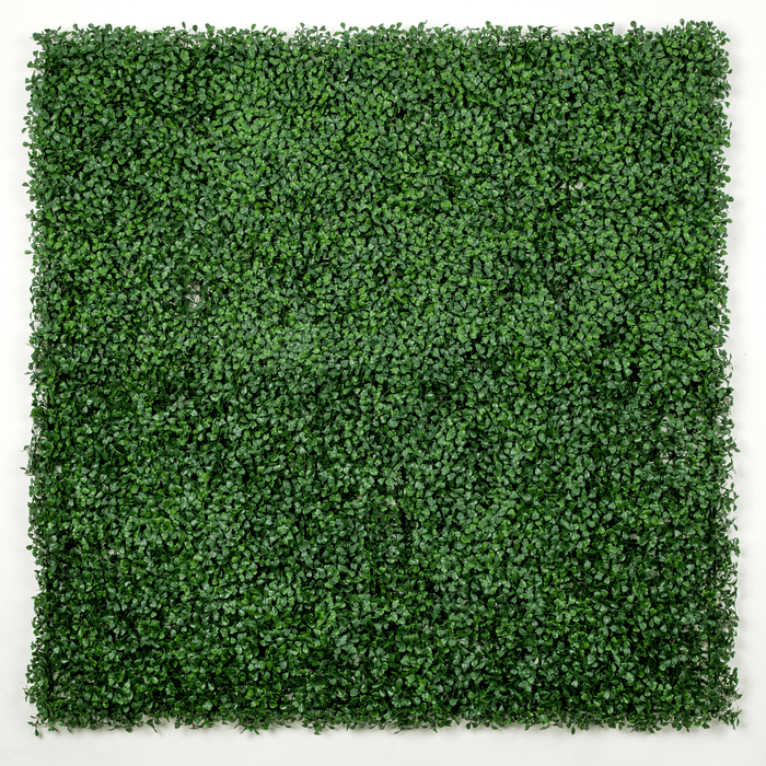 Dark Artificial Boxwood Wall 40" x 40"