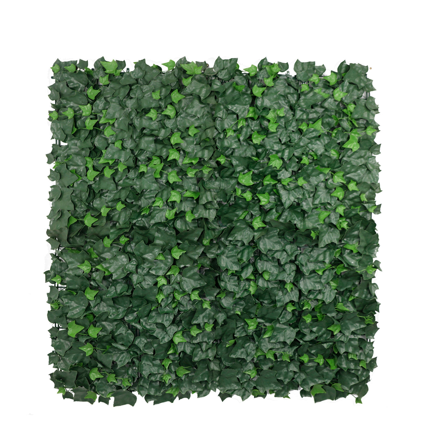 Trellis & Ivy