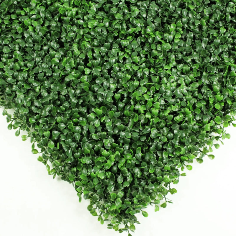 Dark Artificial Boxwood Wall (Pack of 6 40" x 40") 66 SQ FT Set Commercial Grade UV Resistant