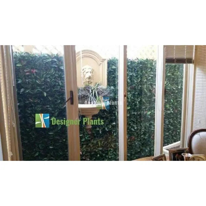 Designer Plants Artificial Photinia Hedge Panel Wall 40" x 40" 11SQ FT Commercial Grade UV Resistant