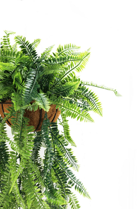 Artificial Hanging Fern Basket – UV Resistant (13.8in x 49.2in | 35cm x 125cm)