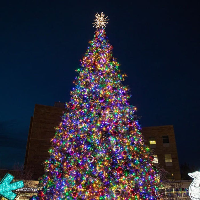 30 foot commercial Decorated Christmas tree with colorful lights against a dark sky
