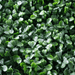 Dark Artificial Boxwood Wall 40" x 40"