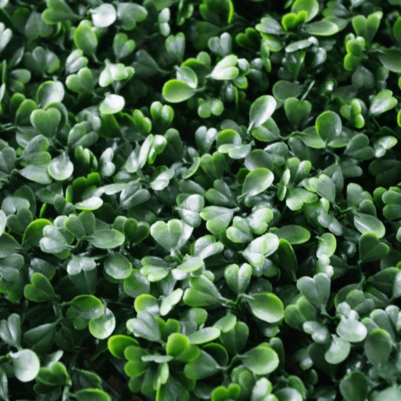 Dark Artificial Boxwood Wall (Pack of 6 40" x 40") 66 SQ FT Set Commercial Grade UV Resistant