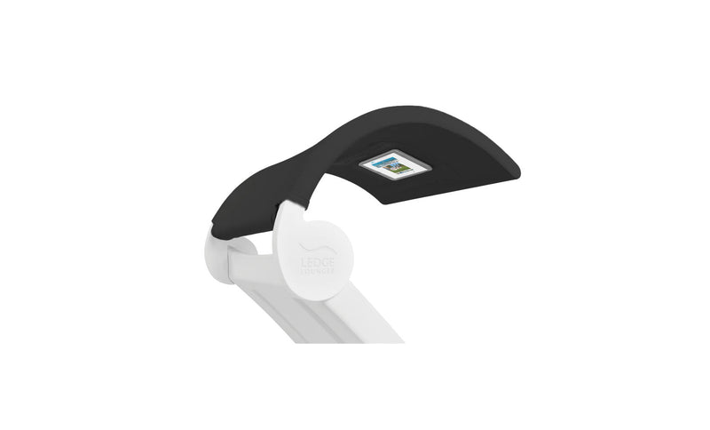 Signature Chaise Shade Accessory