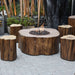 Fire pit with wooden stools in a garden setting