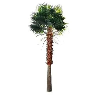 Large Artificial Mexican Fan Palm Tree (13ft - 23ft) UV Resistant