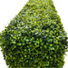 Faux Boxwood Hedge Freestanding Hedge Edge View