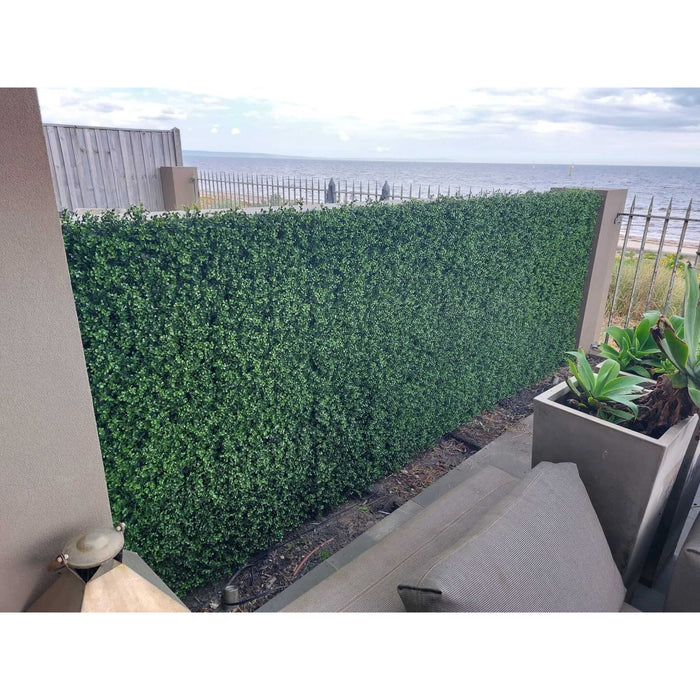 Artificial Boxwood Hedge Panel Natural Buxus Installed onto a Fence