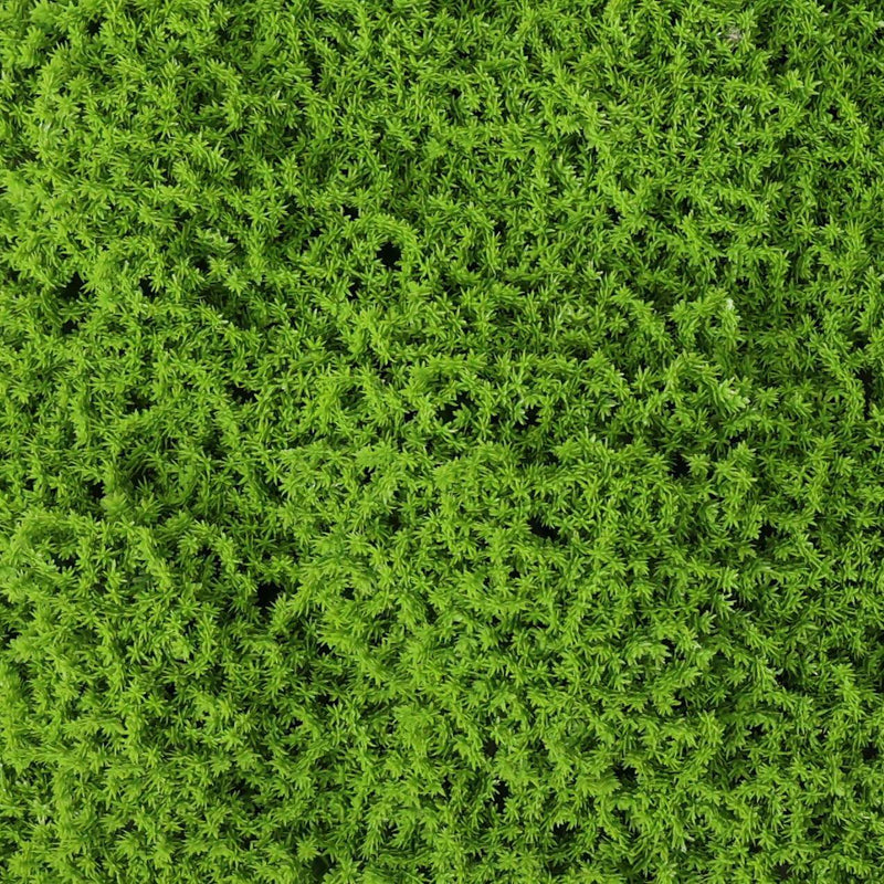 Faux Evergreen Moss Mat 33 SQ FT Pack of 6 - UV Resistant