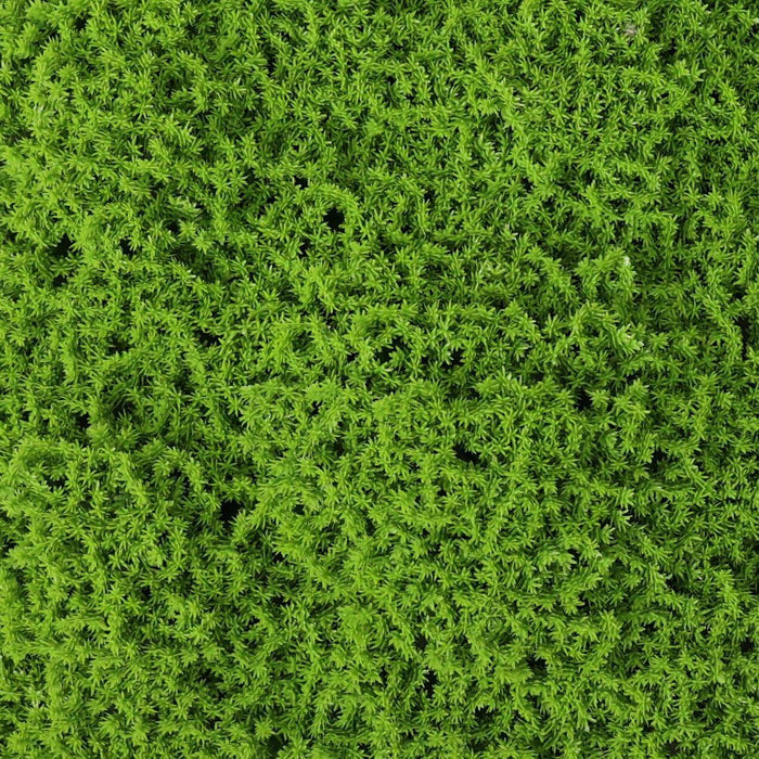 Faux Evergreen Moss Mat 33 SQ FT Pack of 6 - UV Resistant
