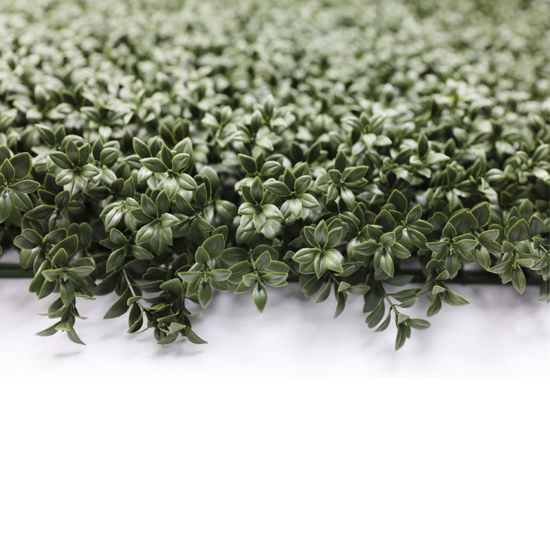Natural Dark Green Extra Dense Boxwood Foliage 1m x 1m /40″x40″ Vertical Garden Wall UV+ FR