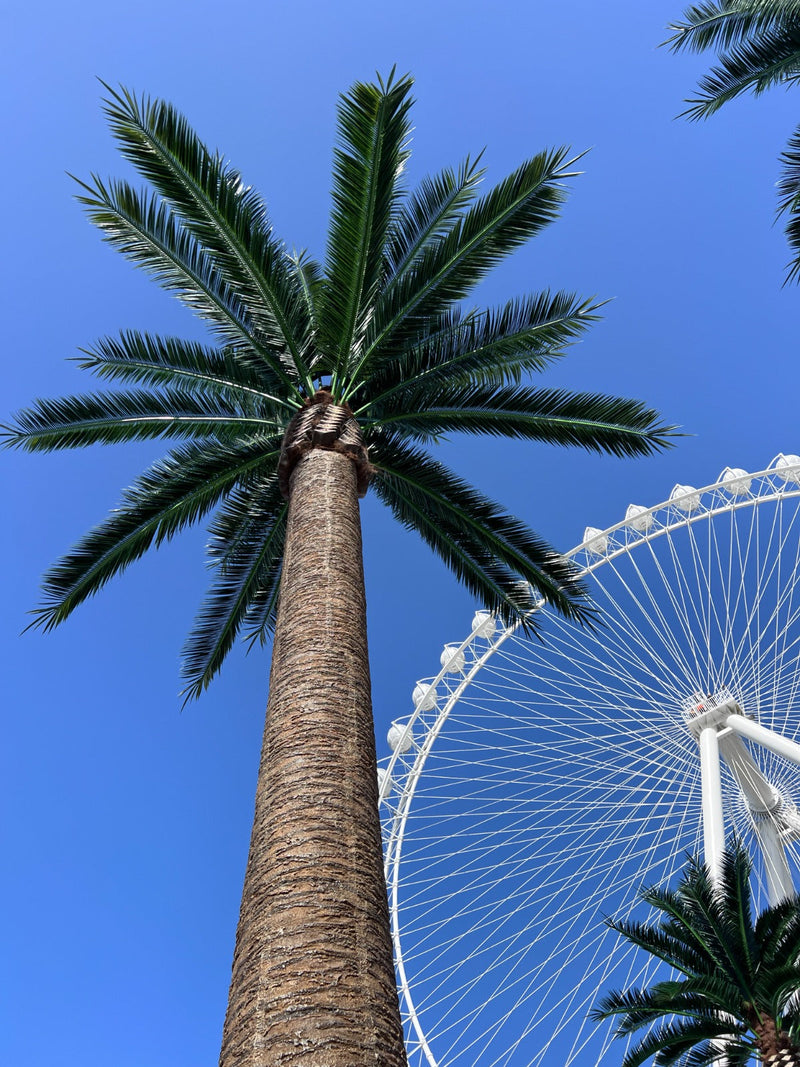 Large Artificial Florida Palm Tree (13ft To 23ft) UV Resistant