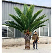 Tall Artificial Palm Tree Florida Palm or Middle Eastern Palm Tree Small Version