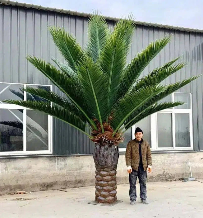 Giant Commercial and Luxury Residential Tall Artificial Florida Palm Tree (13ft To 23ft) UV Resistant (10-12 Week Back Order)