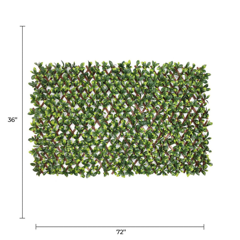 Expandable Faux Green Ligustrum Ficus Trellis Privacy Fence (Variable Size) UV Resistant 72" x 36"