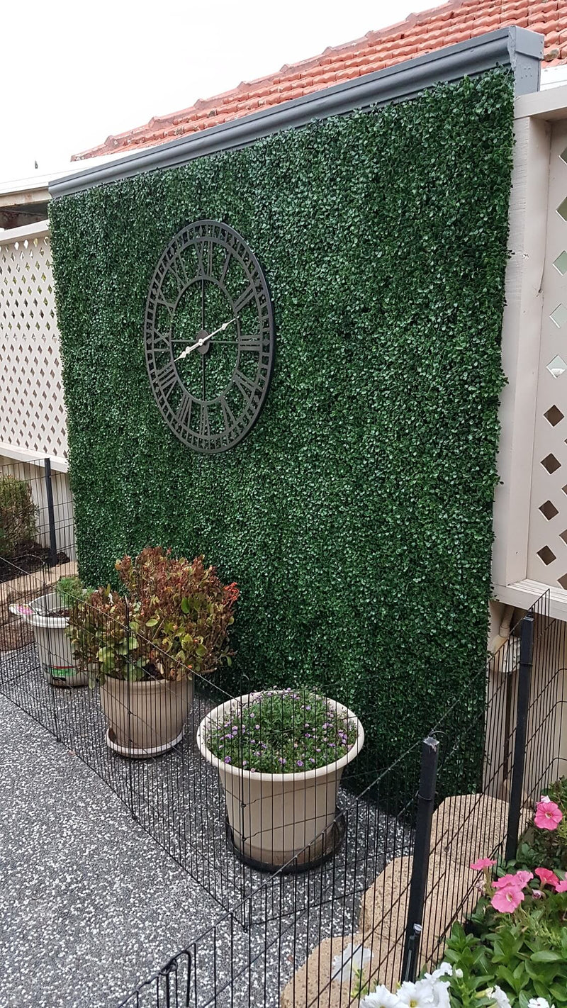 Dark Artificial Boxwood Wall (Pack of 6 40" x 40") 66 SQ FT Set Commercial Grade UV Resistant