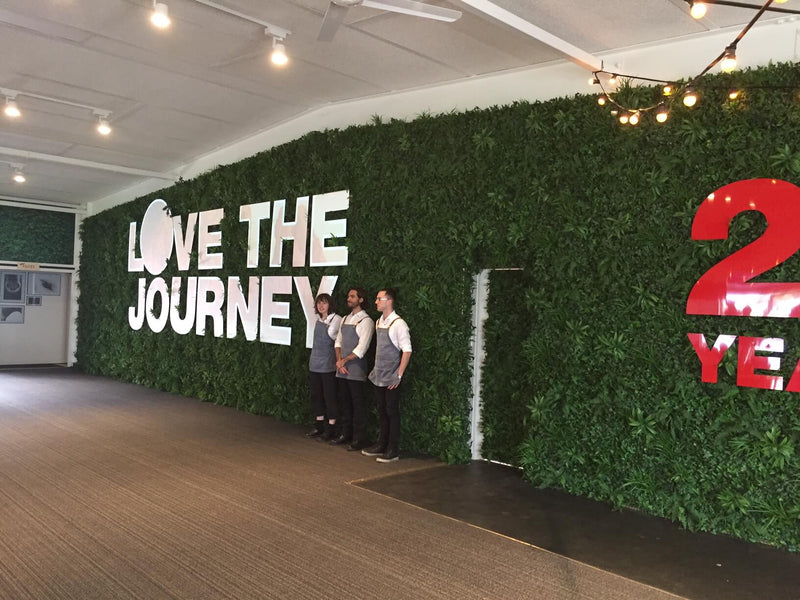 Luxury Green Tropics Artificial Living Wall /  Green Wall 40" x 40" 11SQ FT Commercial Grade UV Resistant
