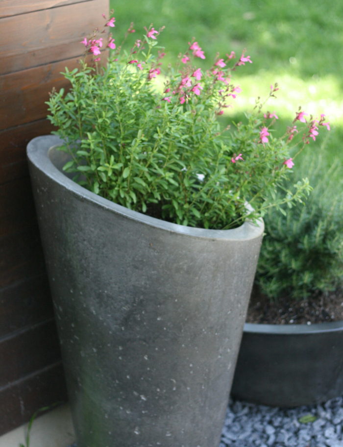 Slick Rock Concrete Bouquet Slim Planter
